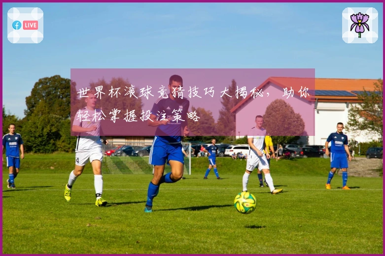 世界杯滚球竞猜技巧大揭秘，助你轻松掌握投注策略