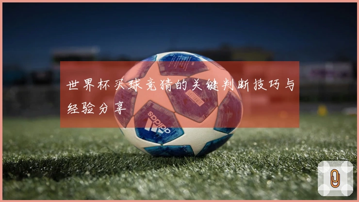 世界杯买球竞猜的关键判断技巧与经验分享