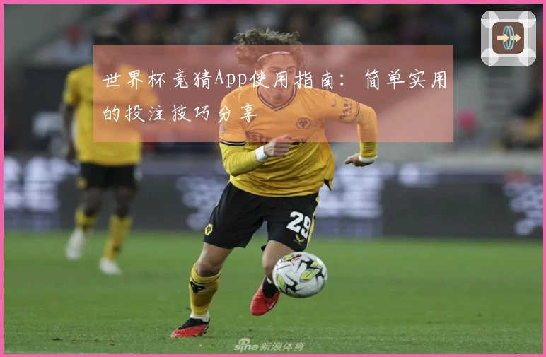 世界杯竞猜App使用指南：简单实用的投注技巧分享