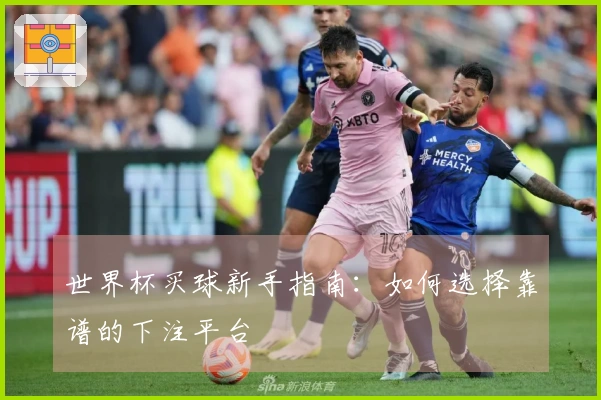 世界杯买球新手指南：如何选择靠谱的下注平台