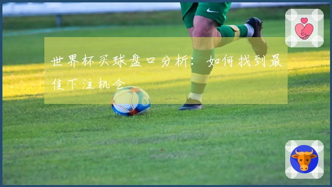 世界杯买球盘口分析：如何找到最佳下注机会