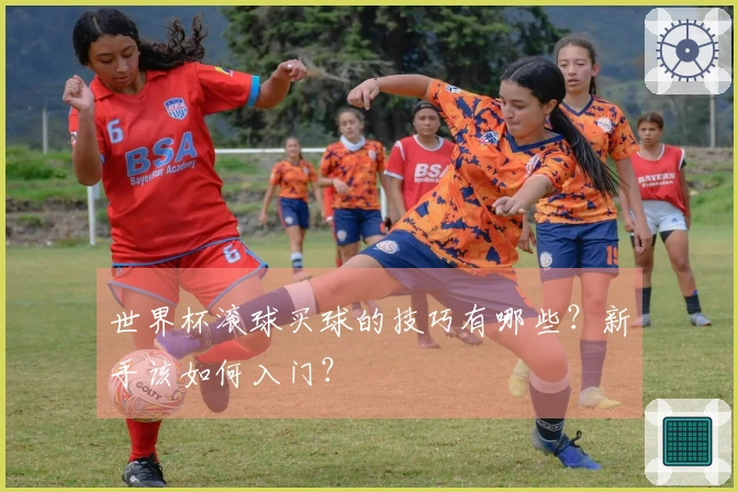 世界杯滚球买球的技巧有哪些？新手该如何入门？