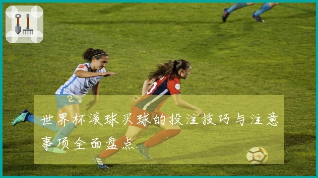世界杯滚球买球的投注技巧与注意事项全面盘点