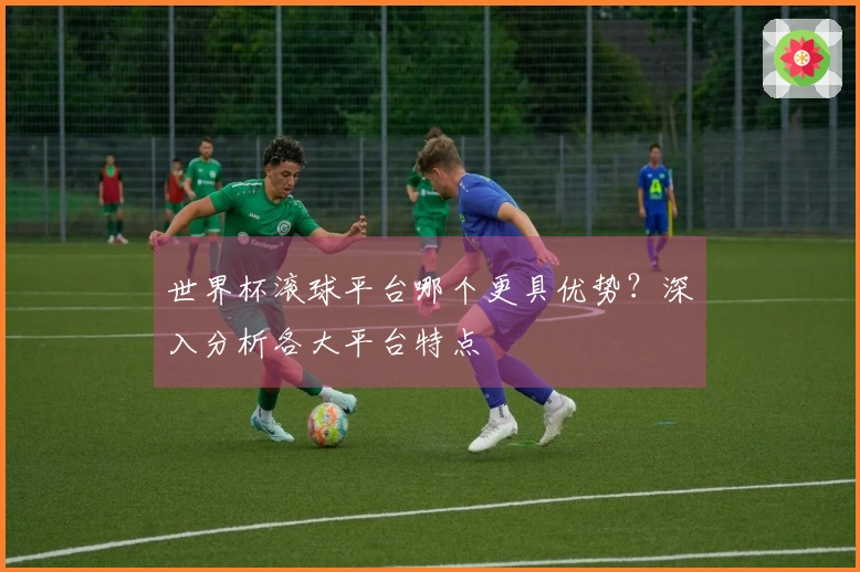 世界杯滚球平台哪个更具优势？深入分析各大平台特点
