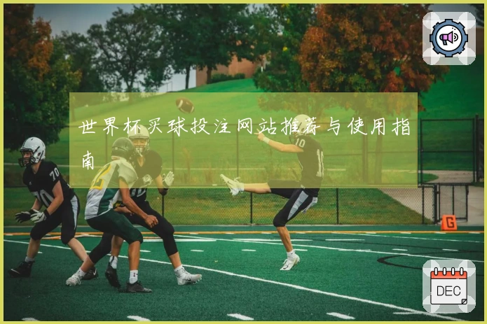 世界杯买球投注网站推荐与使用指南