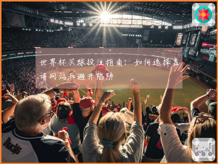 世界杯买球投注指南：如何选择靠谱网站和避开陷阱